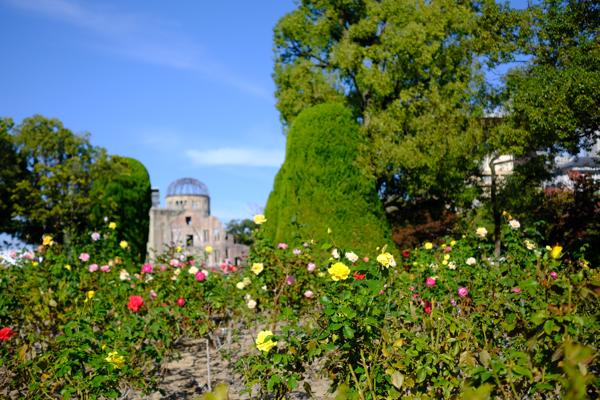 Best of Autumn in Japan
